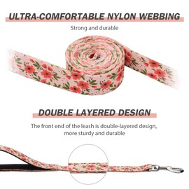 Hikiko Double Handle Dog Leash 6 Foot Cute Girl Padded Traffic Handles for Walking Training (Cream Natural Floral, 6ft)