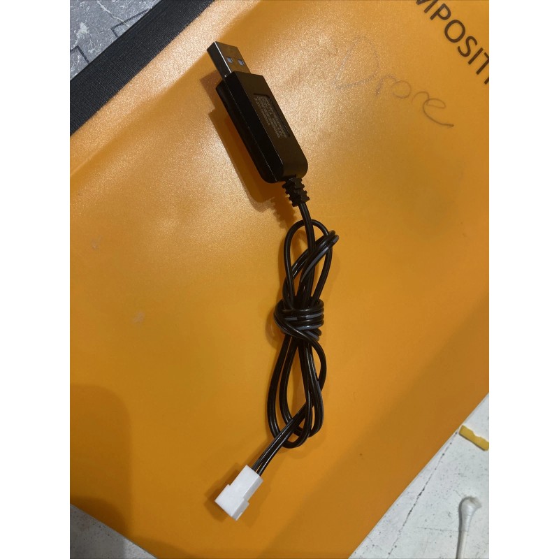 Carrera Usb Charger( 3.2v 1000) For Carrera MARIOKART: Mario &