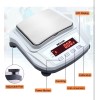 Wellish Lab Scale 2000g/0.01g High Precision Digital Scale Analytical Balance