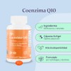 B-FIT B - Coenzima Q10 - A Base De Omega