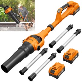 Roof Gutter Cleaning from The Ground, 40V Leaf Blowers Cordless, 580CFM/180MPH with 2 Batteries and Charger, Brushless 2-Speed Motor for Gutter Cleaning Extension Attachment Kit for Garden,House