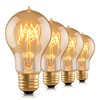 runquiz Warm Incandescent Light Bulbs 60 Watt,A19/A60 Vintage Style Edison