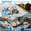 Make you perfect Upgrade Dog Cooling Mat Portable Water Injection