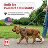Harness Lead No Pull Dog Harness and Leash Set, Anti