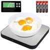 Digital Kitchen Scales