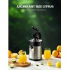 Professional Brushed Stainless Steel Electric Citrus Juicer, 2 Interchangeable Cones