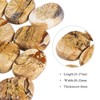 dssmboom Set of 13 Picture Jasper Crystal Rune Stones Engraved