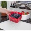 Hutzler 3-in-1 Berry Keeper Colander and Container, Keeps Berries Fresh
