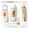 Shampoo Pantene Fuerza y Reconstrucción con Pro-vitaminas, Proteínas y Aceite