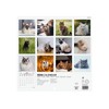 Finocam - Wall Calendar 2026 18x18 cm Month to View