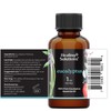 Healing Solutions Eucalyptus Essential Oil - 1 Fluid Ounces