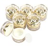 CINECE Cream Case, Divided Container Case, 6 Pieces, Labeled Clear,