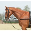 Side-Reins RINGS-FIXED, Full, black/NP