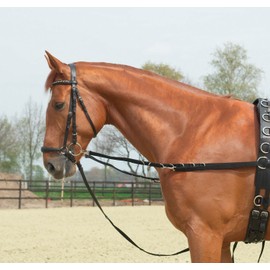 Side-Reins RINGS-FIXED, Full, black/NP