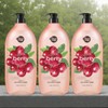 SHOWER MATE/Fresh/Body Wash/Cranberry/1.2kg/2Pcs