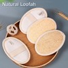 Voyyphixa Natural Loofah Towel, Loofah Scourer, Round 2 Pieces +