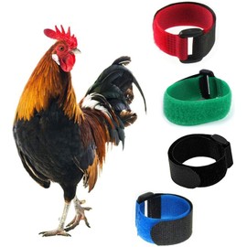 2pcs Rooster Noisy Free Anti-Hook Neckband Collar,Nylon Collar Crow Rooster Collar to Stop Prevent Crowing No,Rooster Supplies Rooster Neck Collar Supplies,Collars (Black)