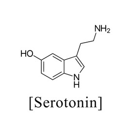 Seratonin Molecule Decal Notebook Car Laptop 5.5" (Black)