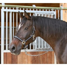 Covalliero Halfter Mustang, Cavezza per Cavalli, Nero/Argento, Poliammide, Full, Taglia 3, Cavalli, Regolabile in 2 Punti, abbinabile alla Cavezza Mustang