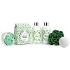Freida and Joe Deluxe White Rose Jasmine Spa Basket -