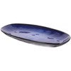 Lurrose 1 Pc Food Serving Platter, Dining Plate Ceramic Fish