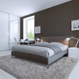 LOCHAS LOCHAS Ultra Soft Indoor Modern Area Rugs Fluffy Living Room Carpets for Children Bedroom Home Decor Nursery Rug 4x5.3 Feet, Gray