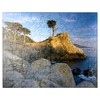 MyPuzzle Monterey Cypress Off The Pacific Coast Near Water -