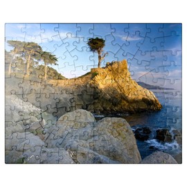 MyPuzzle Monterey Cypress Off The Pacific Coast Near Water - Premium 100 Piece Jigsaw Puzzle for Adults