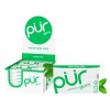 PUR Sugar Free Spearmint Chewing Gum 9 Count Pack Aspartame