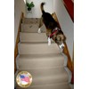 LAMINET Non-Slip Carpet & Floor Protector - Beige - 15'L