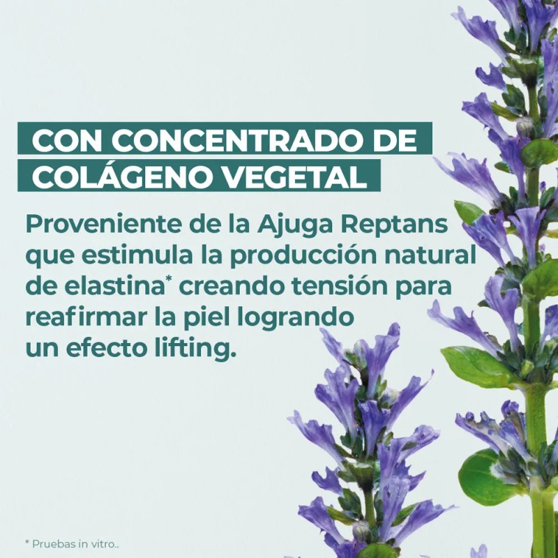 Yves Rocher Contorno De Ojos Efecto Lifting Vegetal de Día/Noche