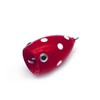 AKS Fishing Trout Popper, Popla Popper, Trout Popper, 1 Piece,