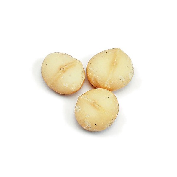 Raw Macadamia Nuts, 5 Lb Bag