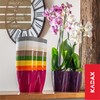 Kadax Indoor Flower Pot, Orchid Windowsill Planter, Plastic, Modern