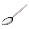 CURISEW Silver Stainless Steel 2 Tbsp Chef Spoon, 9 inch