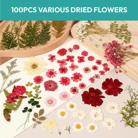 Resiners 100Pcs Dried Pressed Flowers for Resin Molds, Red Real Natural Dried Flowers Dry Leaves kit for Scrapbook Supplies Card Making Resin Jewelry Making Soap Candle DIY Crafts