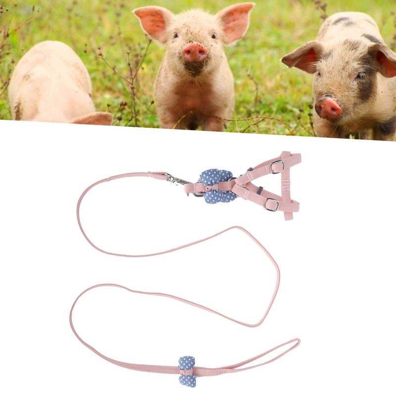 Pet Pig Vest Harness with Leash Set EscapeProof Walking Harness