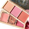 PIPL Teak Natural Powder Blush Color Bleeding From Inside Blush