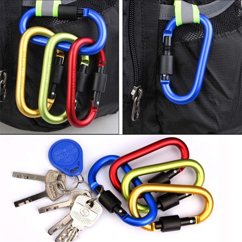 Feloyal 10 Pcs Aluminum Alloy D Hook Keychain Carabiner Clip