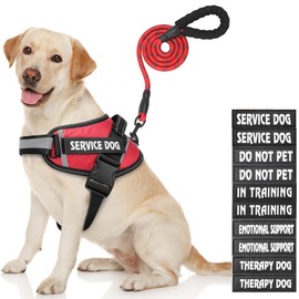 Service Dog Harness, DEWVIE Dog Vest and Leash Set with 10 Patches, Breathable in Training Dog Vest Harness with Soft Handle for Small Medium Large Dogs (RED, Large)