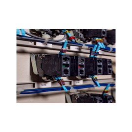 Schneider Electric ZBE205 Harmony XB4 Double Contact Block for Industrial Machines and Manufacturing, Screw Clamp Terminal, 1NO+1NC, Silver Alloy