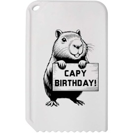 Azeeda 'Birthday Capybara' Plastic Ice Scraper (IC00042385)