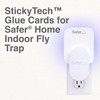 Indoor Plug-in Fly Trap Refill Pack of Extra Large Glue