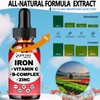 Liquid Iron Supplement w/Vitamin C, A, B-Complex, Vegan Iron Drops