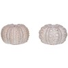 The Bridge Collection Beach Salt And Pepper Shaker Set -