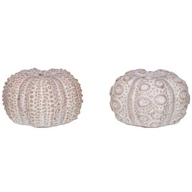 The Bridge Collection Beach Salt And Pepper Shaker Set - Unique Sea Urchin Design Made Of Quality Stoneware - Decorative Accent For Coastal Kitchens And Nautical Displays