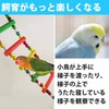 Felimoa Bird Ladder, Perch, Pet Supplies, Bird Cage, For Small