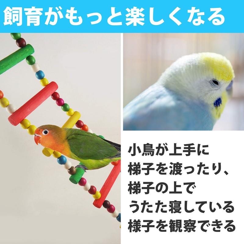 Felimoa Bird Ladder, Perch, Pet Supplies, Bird Cage, For Small