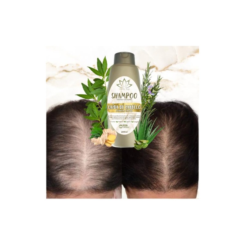 Shampoo Orgánico Ozonizado De Romero y Aloe Vera y Vitamina