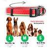 Native Pup Spring Dog Collars Cute Summer Designs for Girl